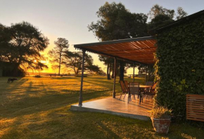 Zorzal Casa de Campo